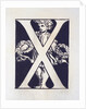 X by Godfrey Sykes
