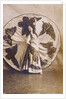 Loie Fuller by Anonymous