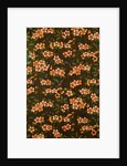 Apple Blossom wallpaper by Lewis Foreman Day