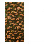 Apple Blossom wallpaper by Lewis Foreman Day