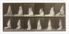 Woman picking up the hem of her dress by Eadweard Muybridge