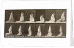 Woman picking up the hem of her dress by Eadweard Muybridge