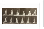 Woman picking up the hem of her dress by Eadweard Muybridge
