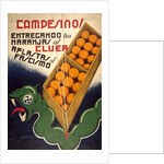 Campesino! Entregando tus Naranjas al Cluer Aplastas al Fascismo by Pepe