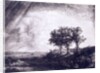 Three trees by Rembrandt van Rijn
