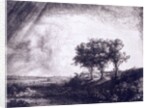 Three trees by Rembrandt van Rijn
