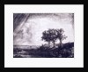 Three trees by Rembrandt van Rijn