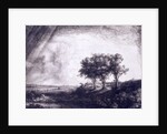 Three trees by Rembrandt van Rijn