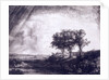 Three trees by Rembrandt van Rijn