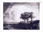 Three trees by Rembrandt van Rijn
