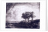 Three trees by Rembrandt van Rijn