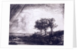 Three trees by Rembrandt van Rijn