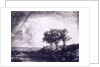 Three trees by Rembrandt van Rijn