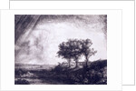 Three trees by Rembrandt van Rijn