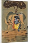 Krishna milking a cow by Unknown