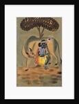 Krishna milking a cow by Unknown