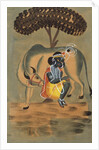 Krishna milking a cow by Unknown