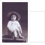Baby on a Potty by Unknown