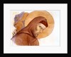 The Head of St Francis by Edward Kaiser