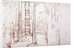 Sketch of a woodland or forest scene by Samuel Palmer