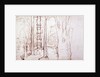 Sketch of a woodland or forest scene by Samuel Palmer