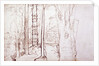 Sketch of a woodland or forest scene by Samuel Palmer
