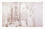 Sketch of a woodland or forest scene by Samuel Palmer