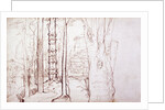 Sketch of a woodland or forest scene by Samuel Palmer