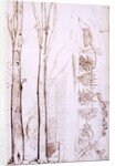 Sketches of trees and a hilly landscape by Samuel Palmer
