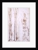 Sketches of trees and a hilly landscape by Samuel Palmer