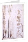Sketches of trees and a hilly landscape by Samuel Palmer
