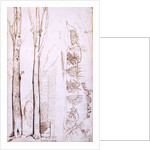 Sketches of trees and a hilly landscape by Samuel Palmer
