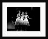 The McGuire Sisters, a singing trio in American popular music by Harry Hammond