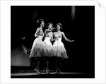 The McGuire Sisters, a singing trio in American popular music by Harry Hammond