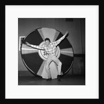 Mark Wynter by Harry Hammond