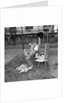 Tommy Steele enjoying before the BBC Radio Show by Harry Hammond