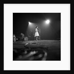 Helen Shapiro by Harry Hammond