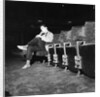 Cliff Richard at the Prince of Wales Theatre by Harry Hammond