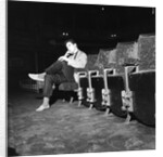 Cliff Richard at the Prince of Wales Theatre by Harry Hammond