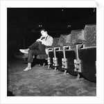 Cliff Richard at the Prince of Wales Theatre by Harry Hammond