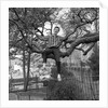 Cliff Richard singing on a tree by Harry Hammond