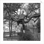 Cliff Richard singing on a tree by Harry Hammond