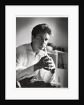 Cliff Richard by Harry Hammond