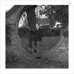 Adam Faith by Harry Hammond