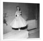 Petula Clark by Harry Hammond