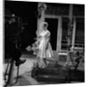 Petula Clark by Harry Hammond