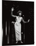 Shirley Bassey by Harry Hammond