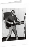 Marty Wilde by Harry Hammond