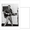 Marty Wilde by Harry Hammond