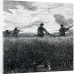 Reaping by John William North